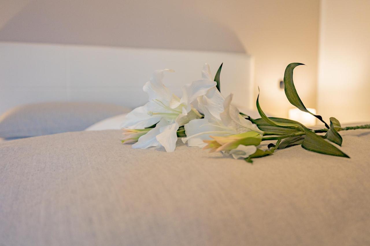Milan Forum Camelia Guesthouse Assago Ngoại thất bức ảnh